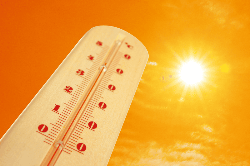 влияние климата на фармлогистику